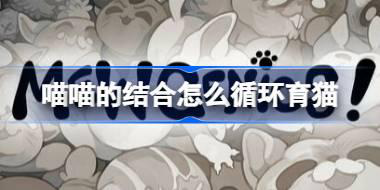 喵喵的结合怎么循环育猫 喵喵的结合循环育猫方案分享