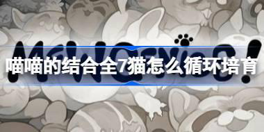 喵喵的结合全7猫怎么循环培育 喵喵的结合不畸变循环全7猫培育方案