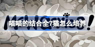 喵喵的结合全7猫怎么培养 喵喵的结合全7强力突变猫培养教程