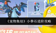 《宠物集结》小拳石进阶攻略