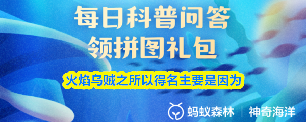 火焰乌贼之所以得名主要是因为